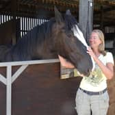 Honour has found a new home with Jennifer and she even has a stable companion to keep her company