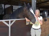Honour has found a new home with Jennifer and she even has a stable companion to keep her company