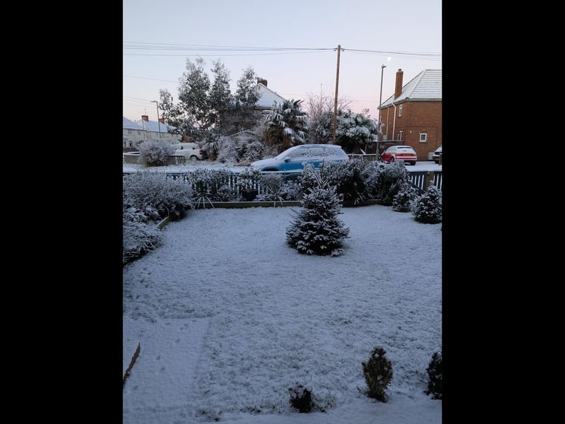 A snowy garden, as photographed by Donna Davies.