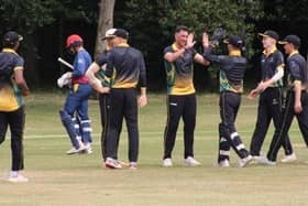 Mark Footitt celebrates a seven wicket haul for Lincolnshire.