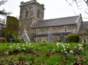 Edlington's 2022 snowdrop festival.