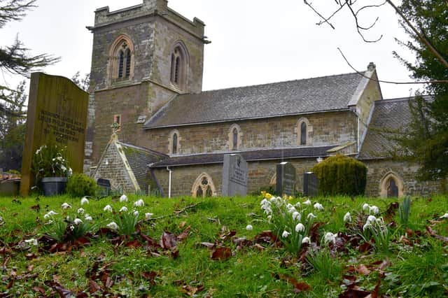 Edlington's 2022 snowdrop festival.