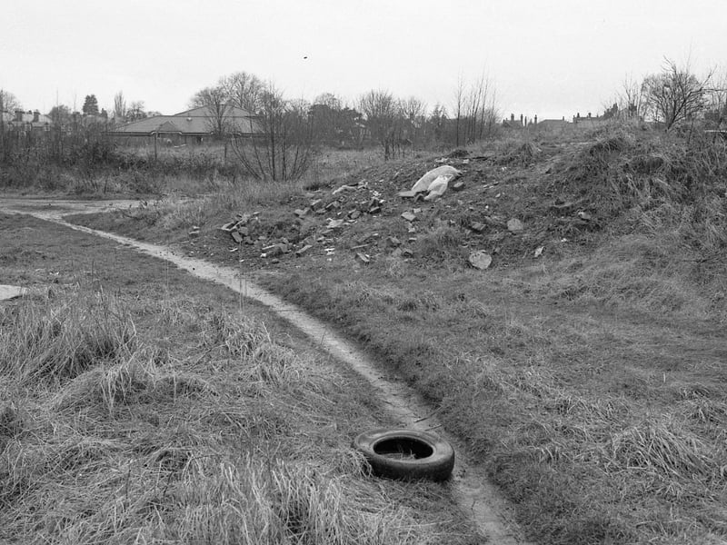 Part of the site of the proposed development, with Carlton Road Primary School in the distance.