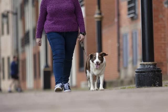 Make sure you pick up after your dog while out walking