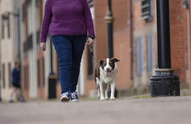 Make sure you pick up after your dog while out walking