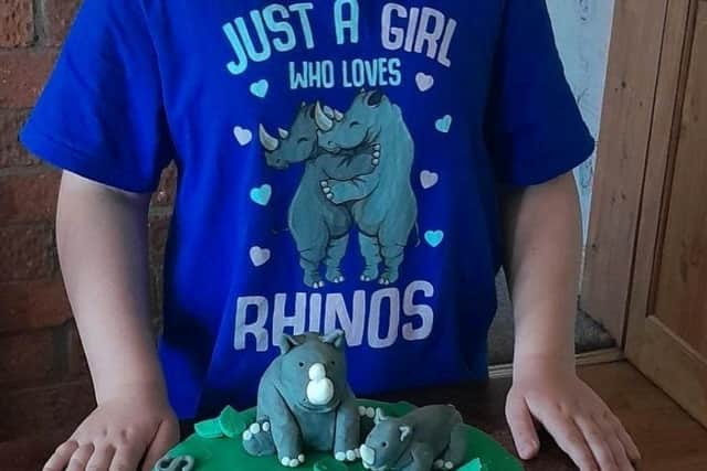 Paige with her rhino-inspired 7th birthday cake.