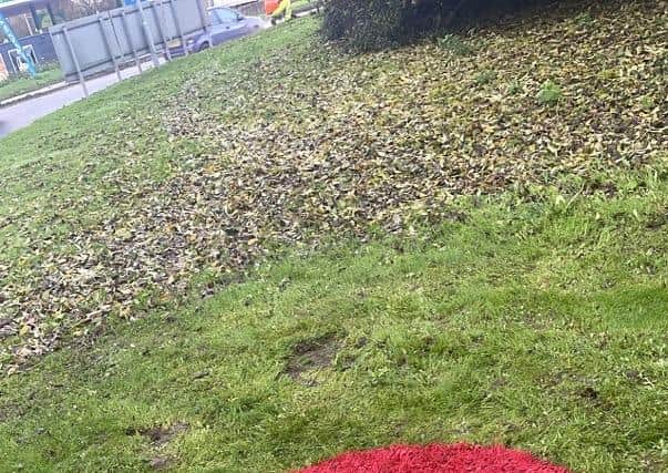 Poppies are appearing on selected roundabouts across the county to mark this weekend’s Remembrance Day.