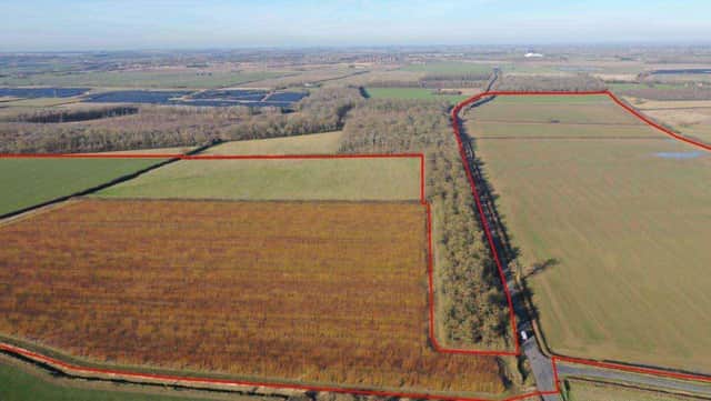 Proposed site of a solar farm on Mareham Lane near Scredington, North Kesteven. From planning documents. Credit: Mareham Lane Solar Ltd
