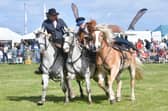 A Wild West Extravaganza show was one of the highlight of last year's event. (PHOTO BY: D.R. Dawson Photography)