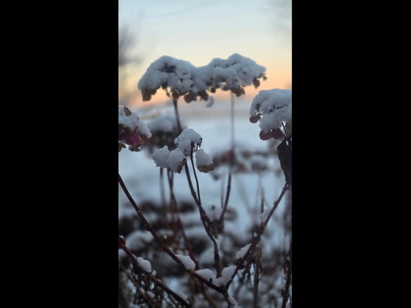Another photo shared with The Standard by Kimberleigh Rosina.