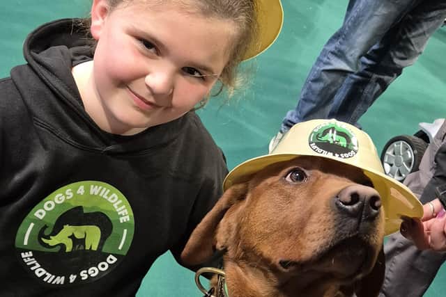 Nine-year-old Paige Bavin pictured with one of the charity's conservation dogs, Rocket.