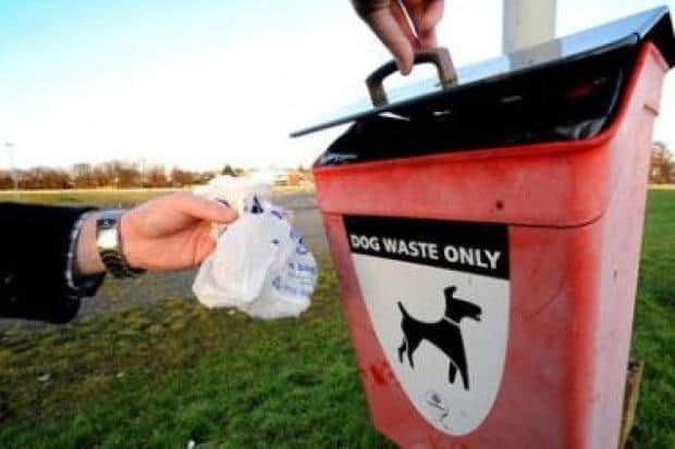 Rules on not cleaning up after your dog are likely to be extended until 2029 in West Lindsey