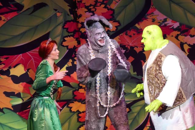 The cast of Shrek the Musical.