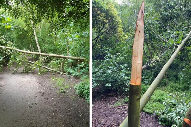 Trees have been damaged at woodland parks in Boston leading to safety concerns.
