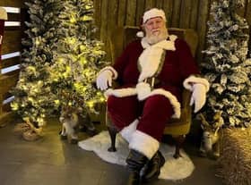 Book your ticket now to visit Santa in his grotto at Bransby Horses