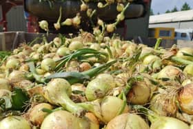 Moulton Bulb is located in Moulton, Spalding, and has been supplying onions to Aldi’s UK stores since 2012.