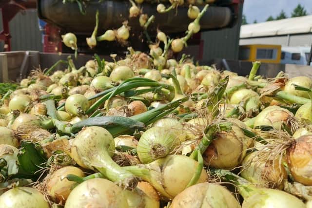 Moulton Bulb is located in Moulton, Spalding, and has been supplying onions to Aldi’s UK stores since 2012.