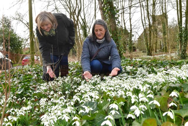 Yvonne Clayton and Christine Cox of Horncastle admire the snowdrops.