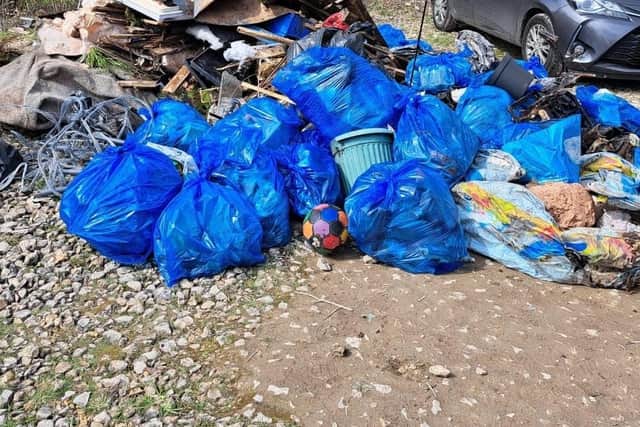 Just some of the bags of rubbish and junk collected.