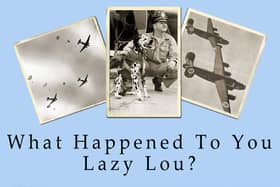 What Happened To The Lazy Lout, by David Bristow.