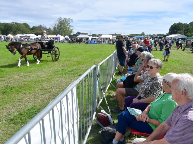 Spectators enjoy the carriage driving around the main ring.