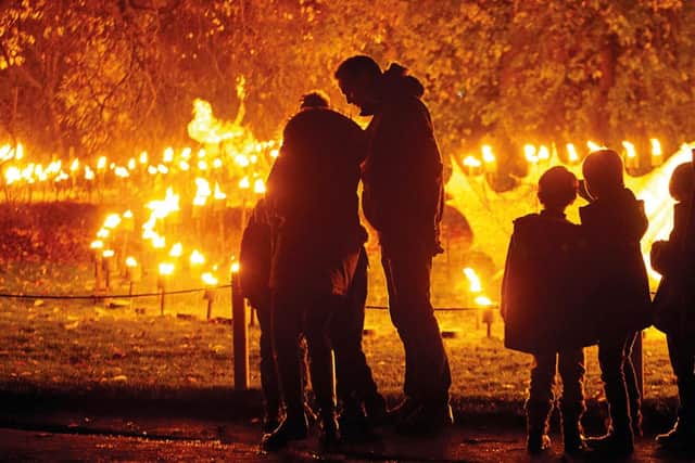 Flickering flames in the fire garden