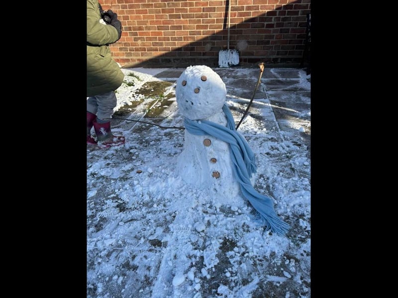 Tracey Lee's photo from Stickney.