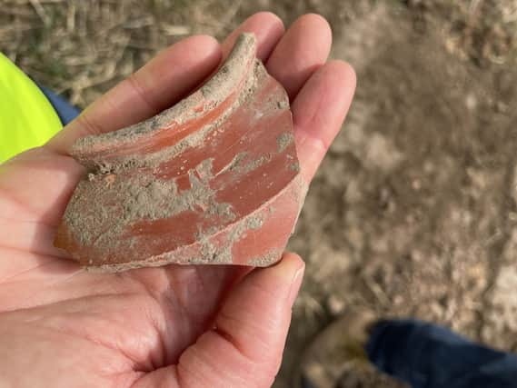 Roman pottery found during archaeological surveys at the site of the proposed Heckington Fen solar park.