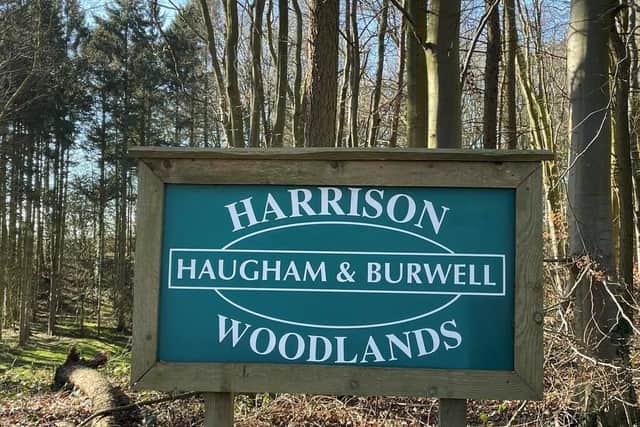 The Woodland Trust has big plans to restore the ancient woodland to its former glory.