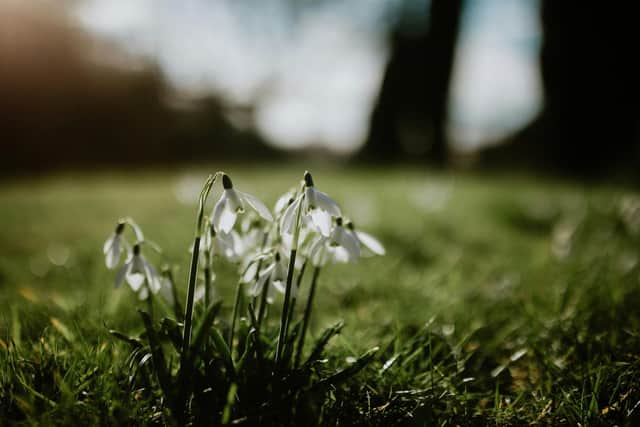 Spring is here!