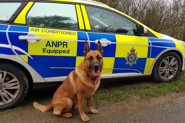 A posthumous PDSA award for PD Boris.