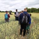 The Lincolnshire Wolds is celebrating its 50th anniversary as an Area of Outstanding Natural Beauty.