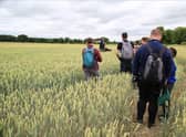 The Lincolnshire Wolds is celebrating its 50th anniversary as an Area of Outstanding Natural Beauty.