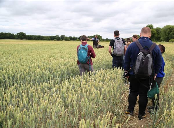 The Lincolnshire Wolds is celebrating its 50th anniversary as an Area of Outstanding Natural Beauty.
