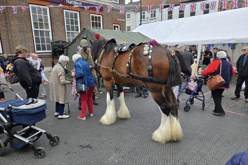 Visitors to the VE Day event in Louth town centre enjoyed meeting the shire horse.