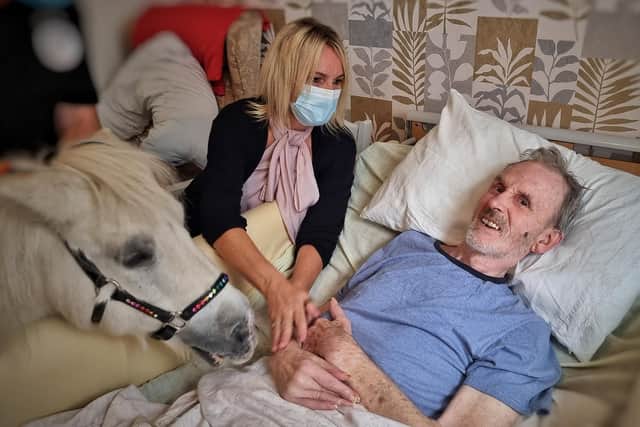 You are not dreaming! I pony visits Bernard Ingham, with manager Hayley Peace.