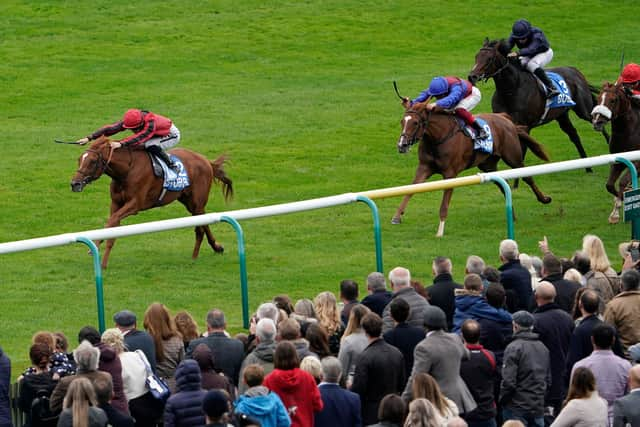 (MAX VEGA) – Max Vega, a possible for the Derby next month, streaks home at Newmarket last season. (Photo by Alan Crowhurst/Getty Images)