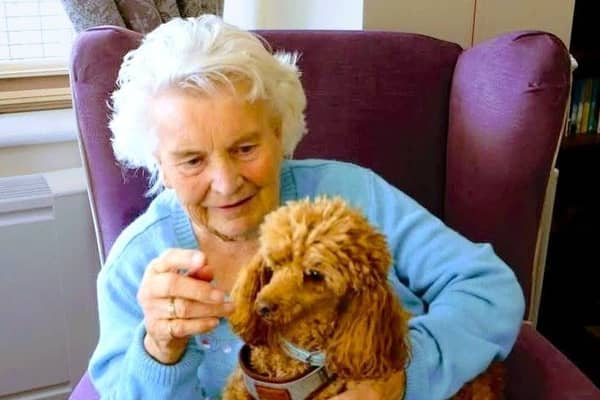 Puppy  Love at Chater Lodge