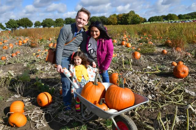 Stewart and Rakhee Watson with Priyanka Watson, 3.