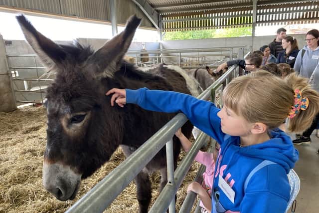 Getting to meet some of the animals