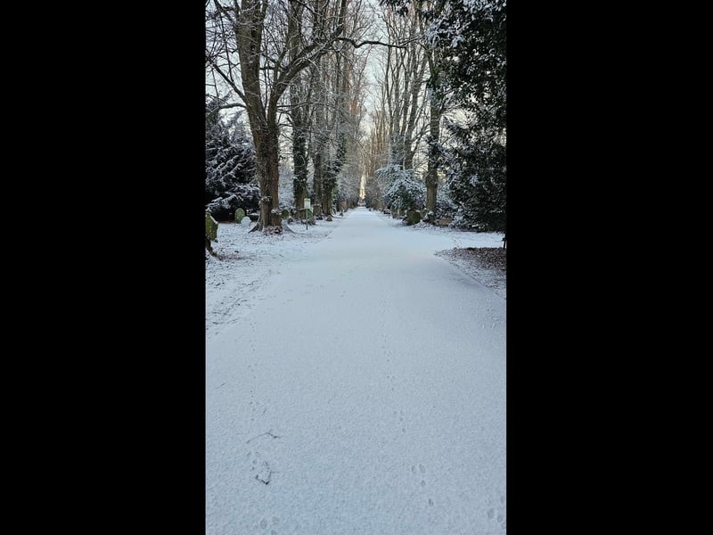 Boston Cemetery, as photographed by Mary Baxter.