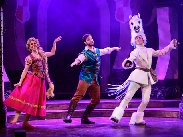 Check out Rapunzel when it comes to New Theatre Royal Lincoln in May (Photo credit: Vikki Lince)