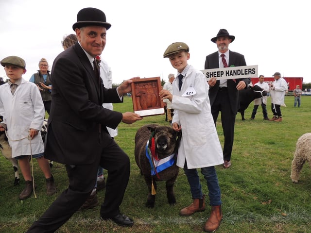 Winning young handler - Joe Trofer-Cook, 11, of Billinghay, with his coloured Ryeland sheep.