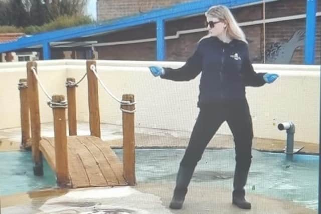 Staff at Skegness Natureland have been showing their moves with their version  Saltburn's Murder on the Dance Floor.