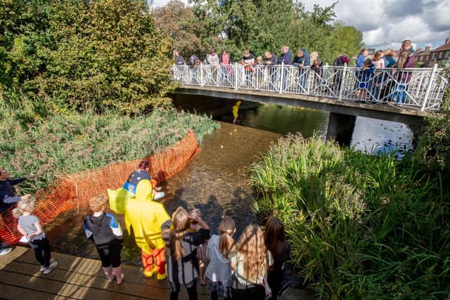 The crowds watch the duck race.