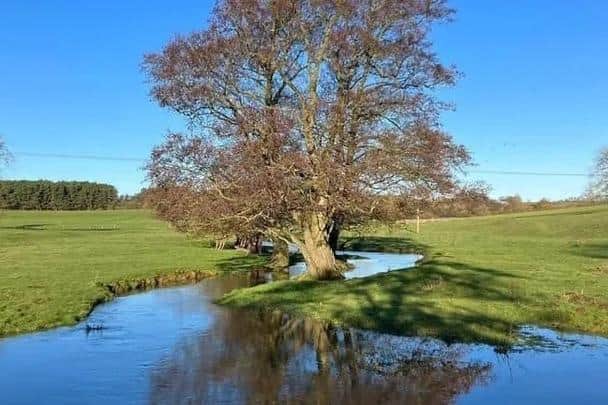 The beauty spot at Biscathorpe that was under threat because of the oil-drilling plans.