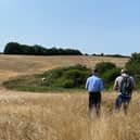 Land at Hagworthingham where a new woodland will be created. Photo: Forestry Commission