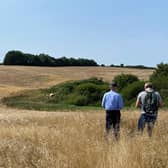 Land at Hagworthingham where a new woodland will be created. Photo: Forestry Commission