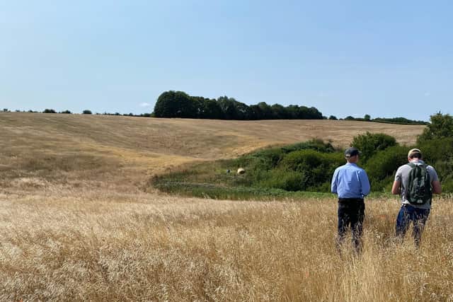 Land at Hagworthingham where a new woodland will be created. Photo: Forestry Commission