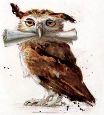 Hogwarts Owl